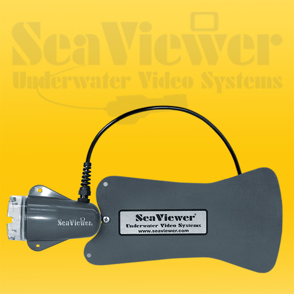 600X600 y 72 DPI WEB large monitor 1